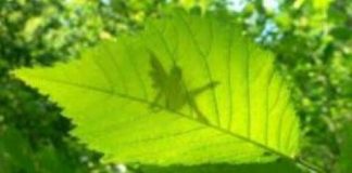 Sachez que s’il y a destruction c’est pour mieux reconstruire derrière